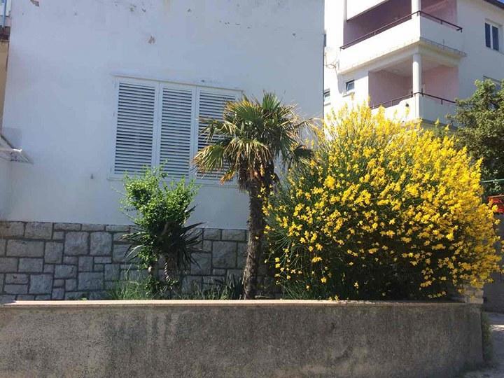 Apartment Ella Banjol Bagian luar foto